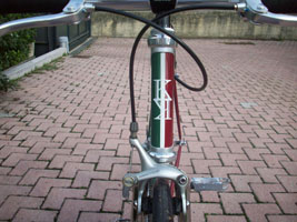 tri23